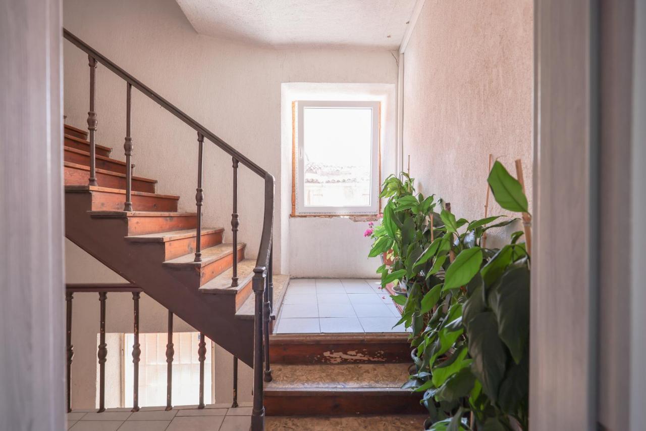 Cozy Studio Cvita Zadar Buitenkant foto